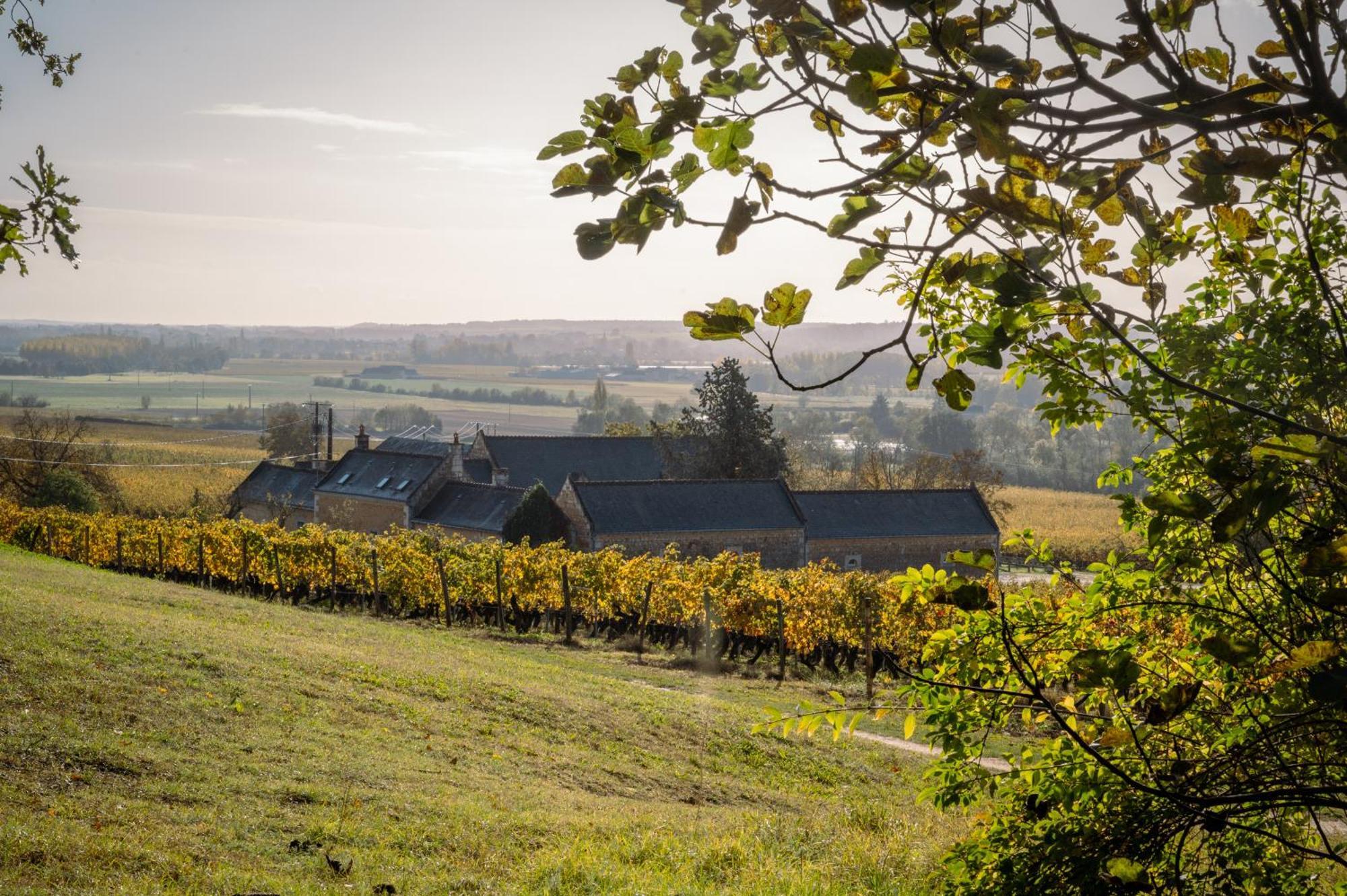 Bed and Breakfast Domaine Beausejour Panzoult Zewnętrze zdjęcie
