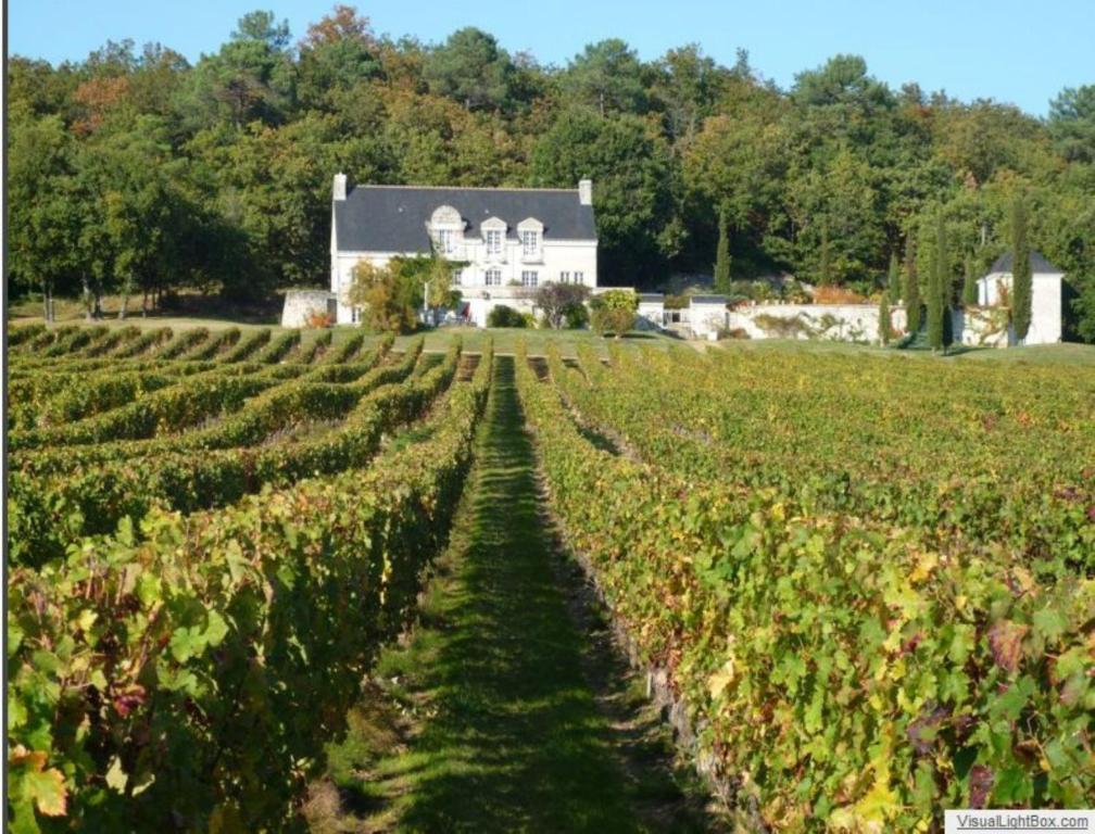 Bed and Breakfast Domaine Beausejour Panzoult Zewnętrze zdjęcie