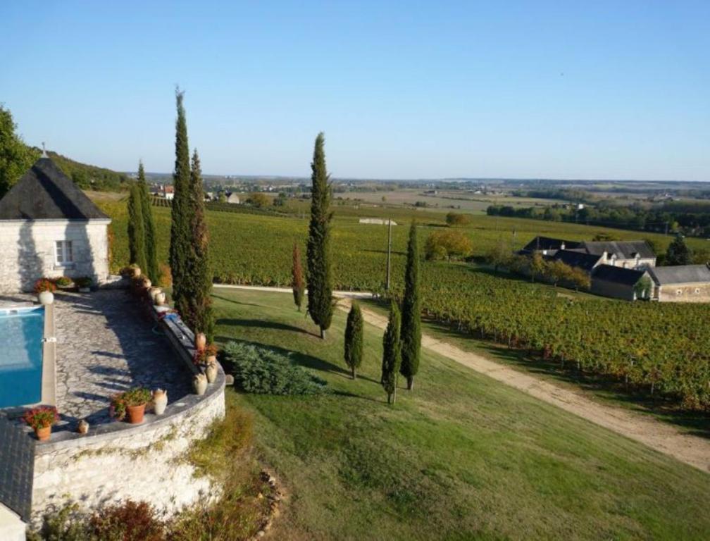 Bed and Breakfast Domaine Beausejour Panzoult Zewnętrze zdjęcie