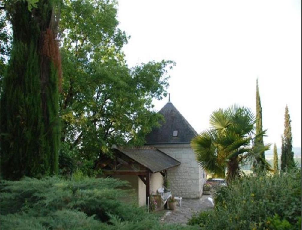 Bed and Breakfast Domaine Beausejour Panzoult Zewnętrze zdjęcie